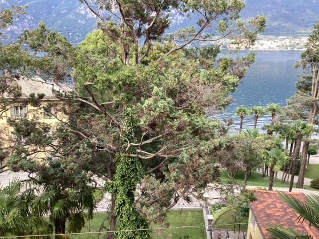 Wonderful Lake Front Appartment Near Bellagio Limonta Exteriér fotografie